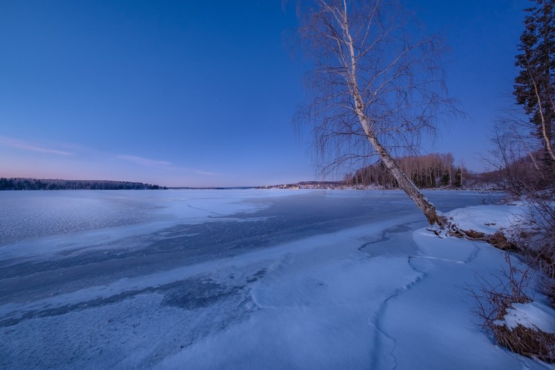 cold, winter, nature