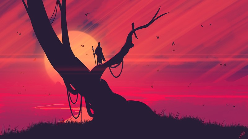 JoeyJazz, sunset, jungle, landscape, evening, trees, Sun, silhouette, grass
