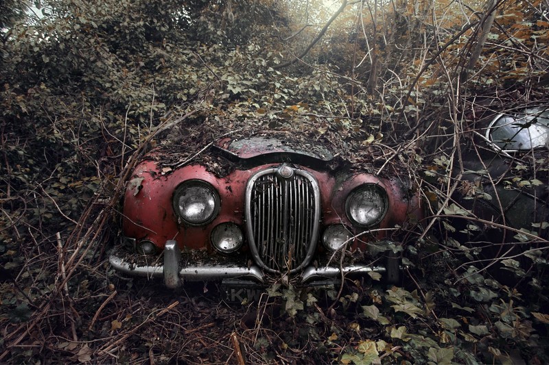 car, wreck, red cars, plants, outdoors, vehicle