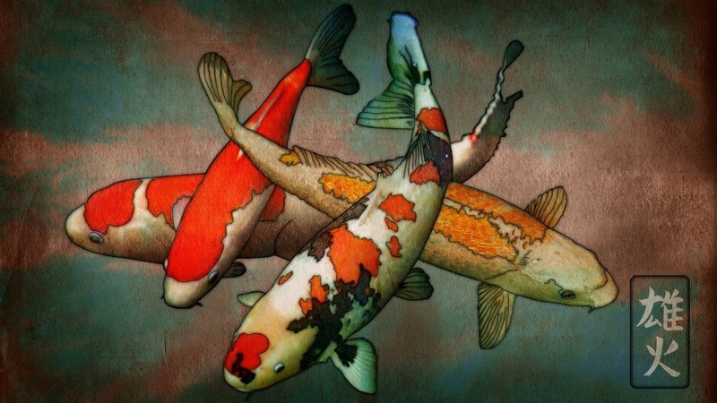 koi, artwork, kanji, fish, animals, old