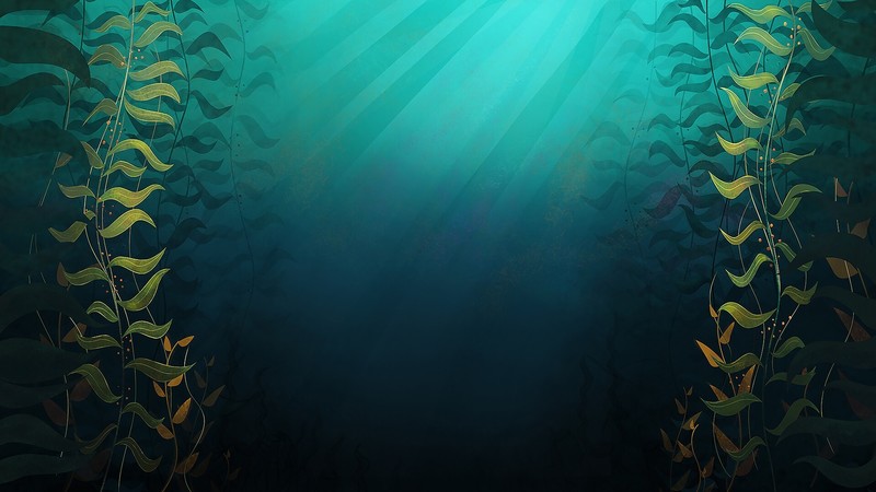underwater, artwork, plants, sea, leaves