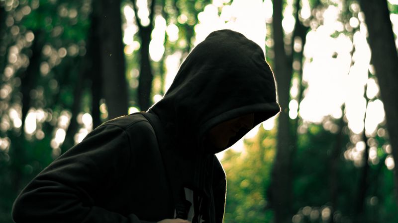 man, hood, anonymous, forest, 4k