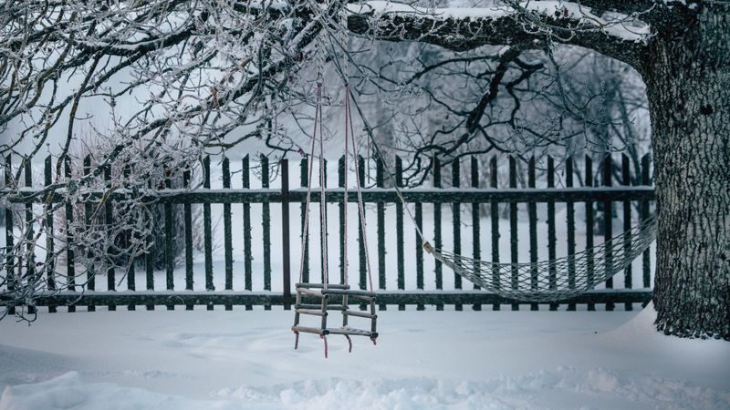 winter, swing, snow, tree, branches, 4k