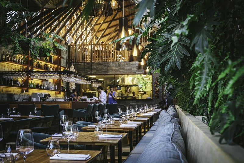 architecture, modern, plants, overgrown, restaurant, bench