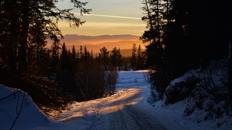 forest, winter, sunset, road, trees, sky, 4k