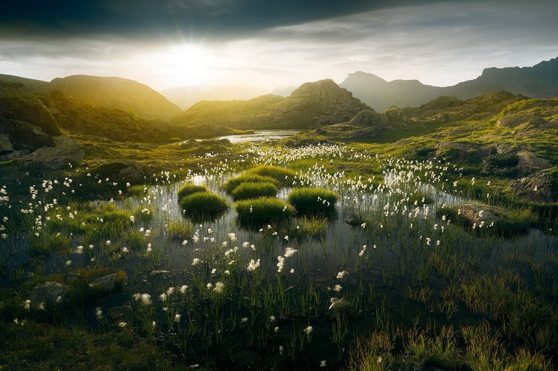 nature, plants, landscape, mountains