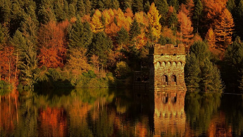 forest, trees, sunlight, leaves, fortress, fall, reflection, water