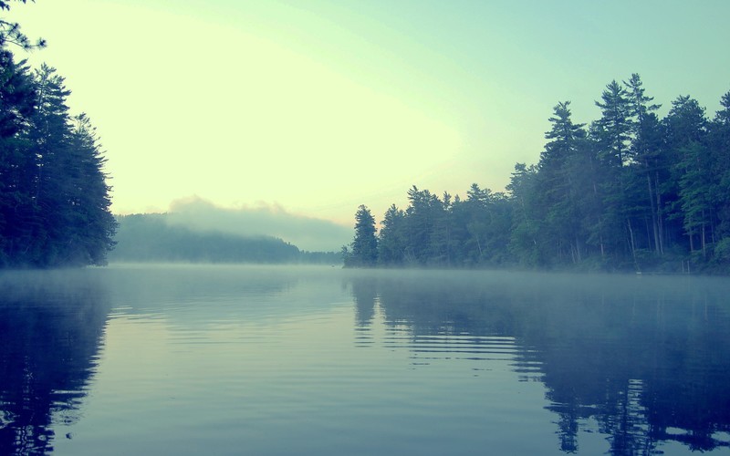 water, lake, nature, forest, mist, faded, trees, outdoors