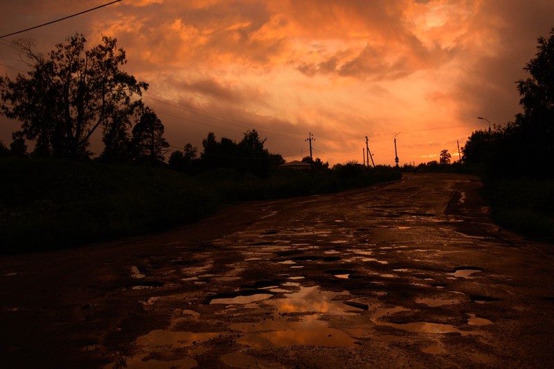 nature, trees, water, puddle, sunset, dark, sky