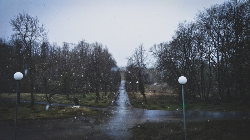 winter, snow, trees, park, outdoors