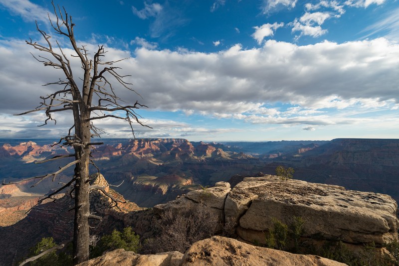 landscape, rock, sky, trees, clouds, nature, canyon, Grand Canyon