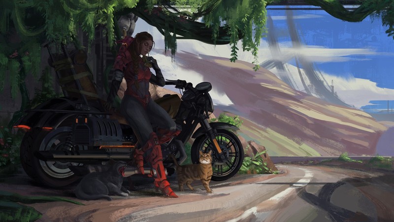 vehicle, artwork, science fiction, women, cats, road, motorcycle
