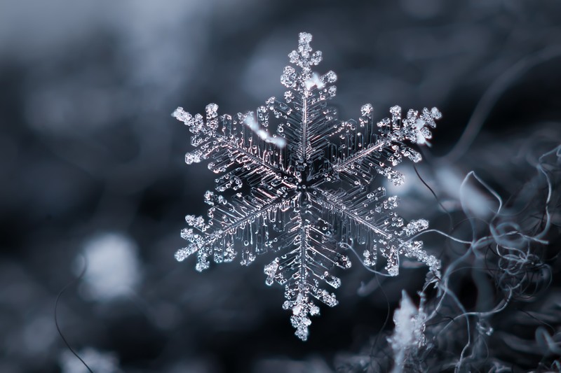 nature, ice, snowflake, macro