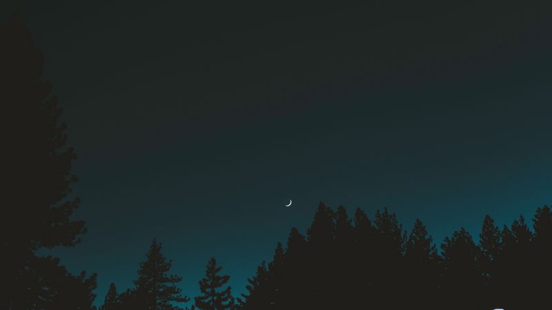 moon, sky, night, trees, crescent, 4k