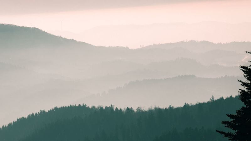mountains, fog, sky, trees, dawn, 4k