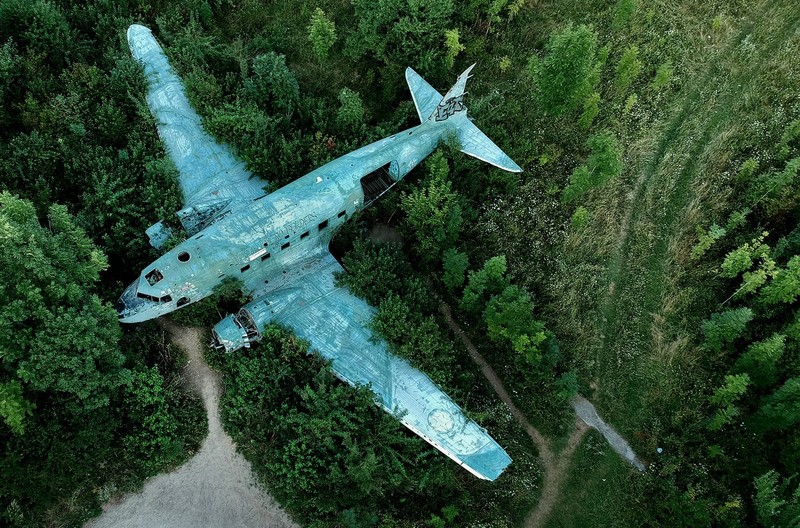 aircraft, trees, wreck, vehicle