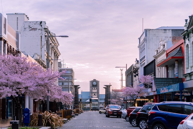 spring, New Zealand, invercargill, sunset
