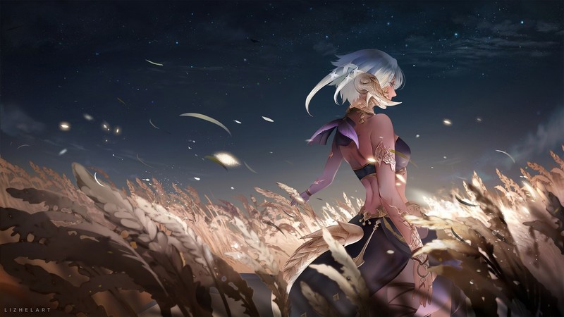 Final Fantasy XIV: A Realm Reborn, anime girls, fantasy girl, anime, Au Ra