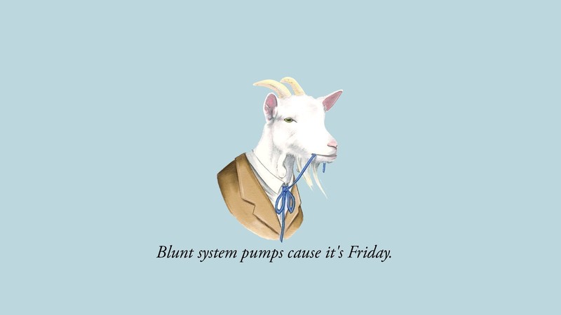 quote, animals, humor, minimalism