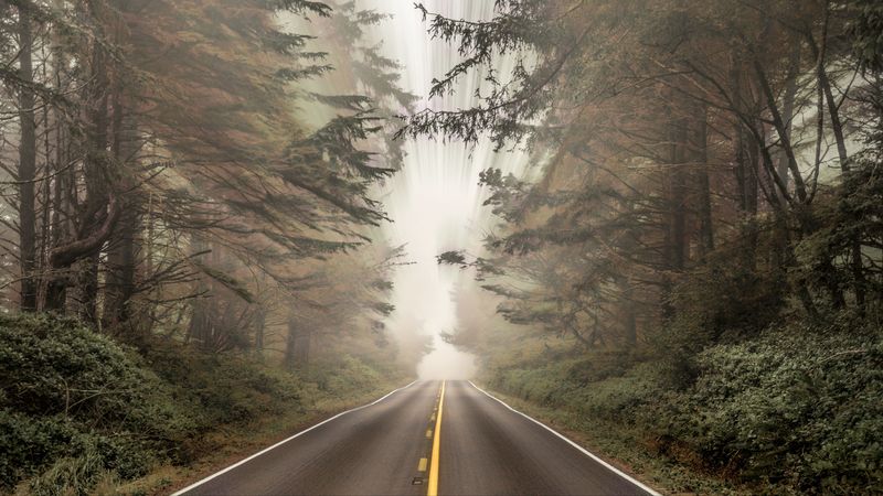 road, forest, fog, blur, 4k