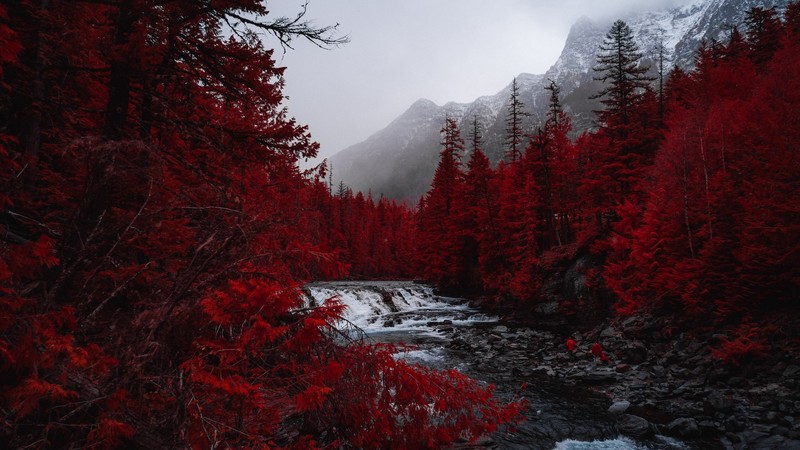 landscape, nature, forest, river, mountains, red