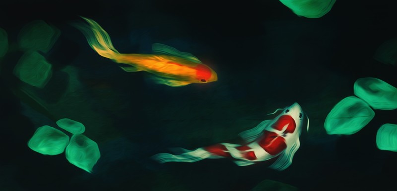 fish, oil painting, animals