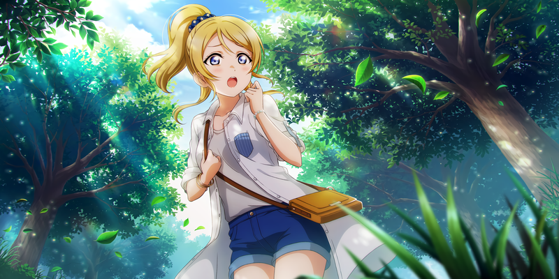 Love Live Series, Love Live!, Ayase Eri