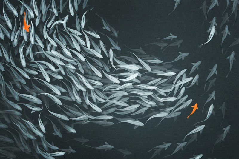 artwork, fish, animals