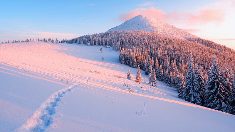 snow, winter, cold, snowy peak, mountains, landscape, forest