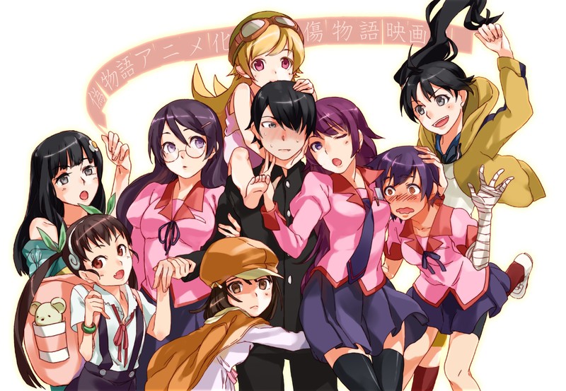 anime, anime girls, white skin, Monogatari Series, Araragi Karen, Araragi Koyomi, Araragi Tsukihi, Sengoku Nadeko, Kanbaru Suruga, Senjougahara Hitagi, Hachikuji Mayoi, school uniform, white background, fan art, Hanekawa Tsubasa, Oshino Shinobu