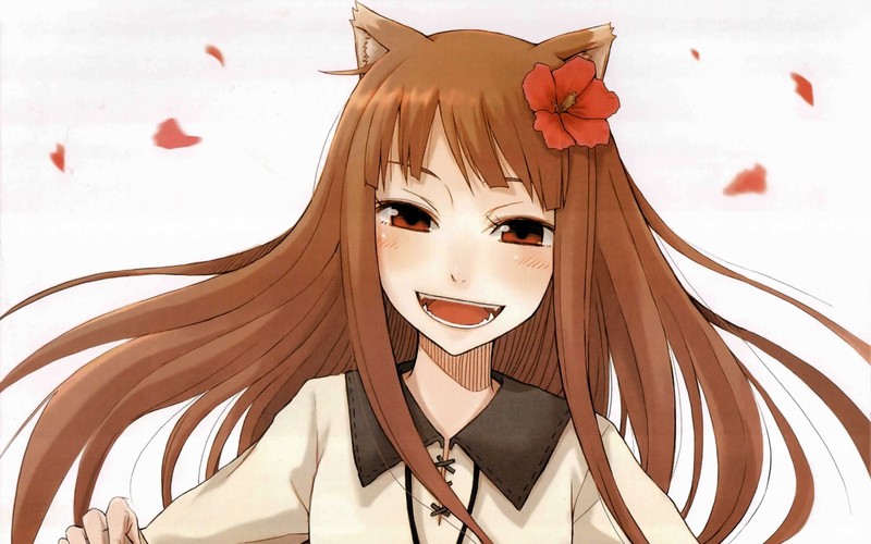 Holo (Spice and Wolf), Spice and Wolf, simple background, looking at viewer, red eyes, Okamimimi, wolf ears