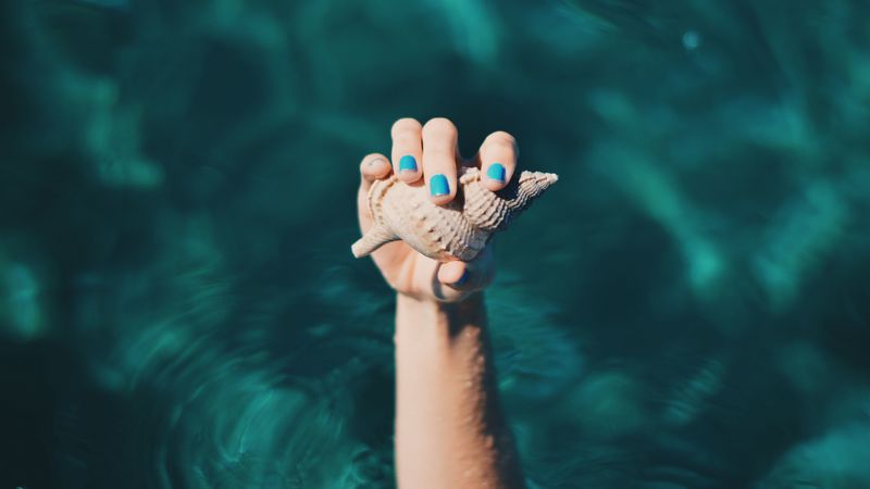 shell, hand, water, fingers, 4k