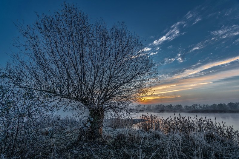 nature, cold, winter, sunset, outdoors, trees
