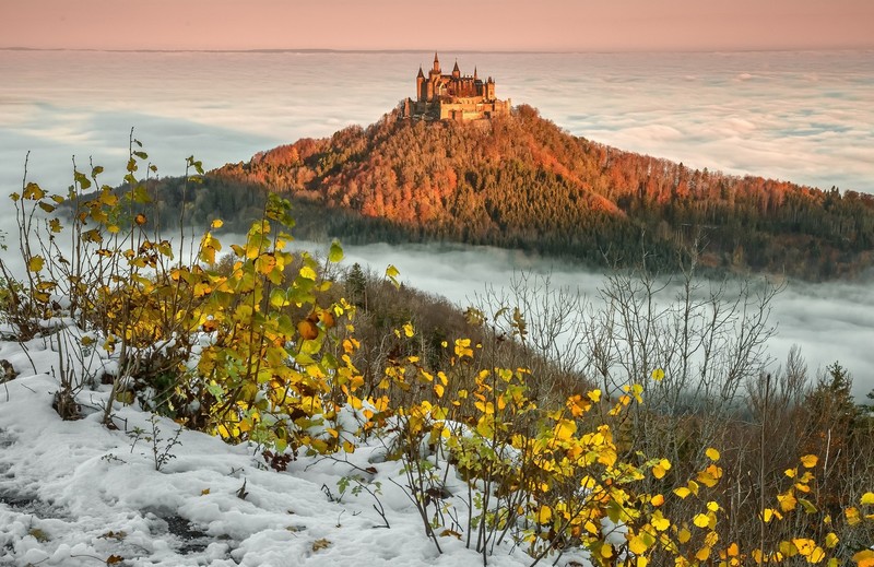 Baden-Württemberg, Germany, Castle Hohenzollern, landscape, winter, plants, snow, Hohenzollern