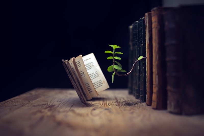 plants, old, books, leaves