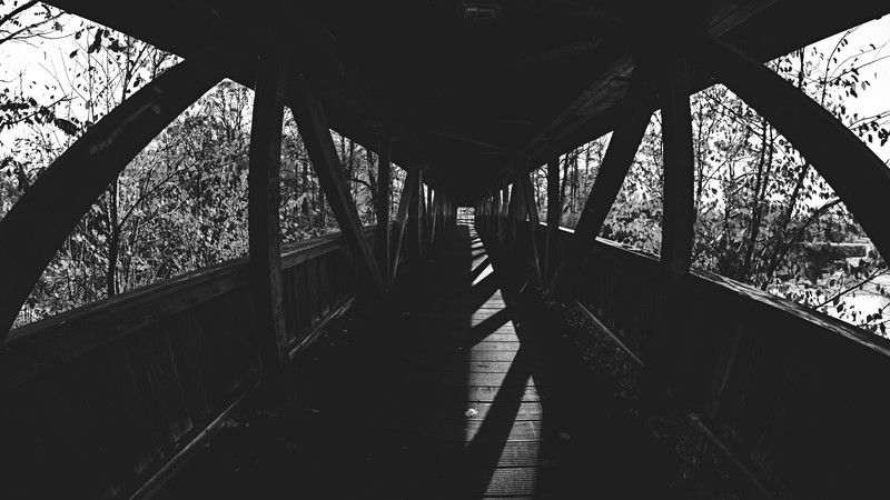 bridge, wooden bridge, monochrome, fisheye lens, nature, dark