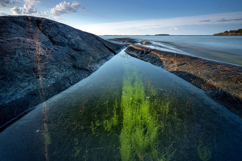 coast, water, nature, outdoors, plants