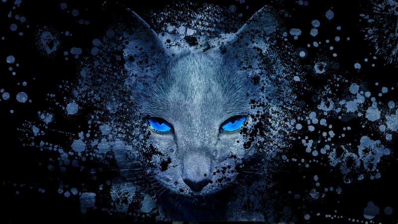 cat eyes, cat ears, ash, fire, red, eyes, animals, animal eyes, animal ears