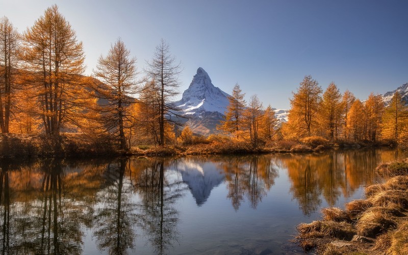 Switzerland, nature, fall, lake, trees, landscape, Matterhorn