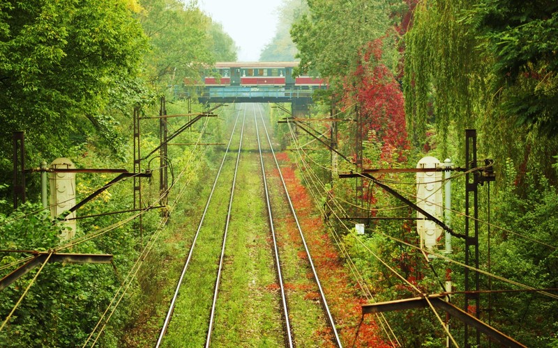 train, nature, trees, grass