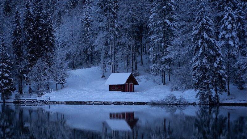 lake, water, winter, snow, trees, nature, building
