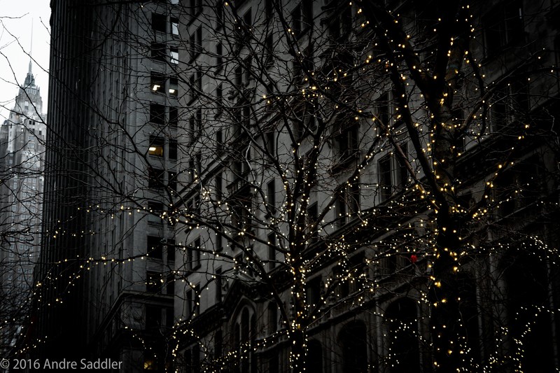 trees, city, faded, window