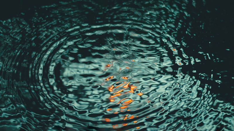 water, ripples, circles, sea, 4k