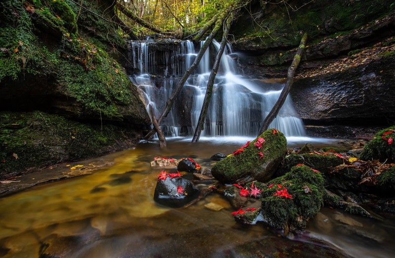 waterfall, nature, water, Scotland