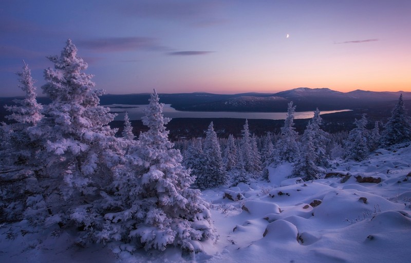 Russia, nature, winter, cold, snow, landscape, trees