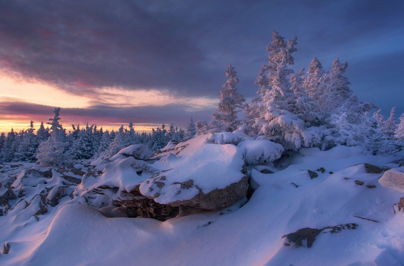 Russia, nature, winter, snow, cold, trees