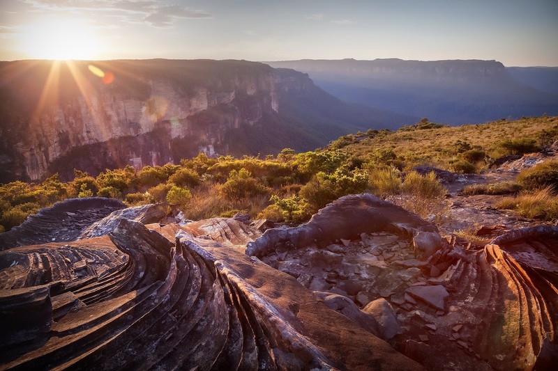sunlight, outdoors, nature, landscape