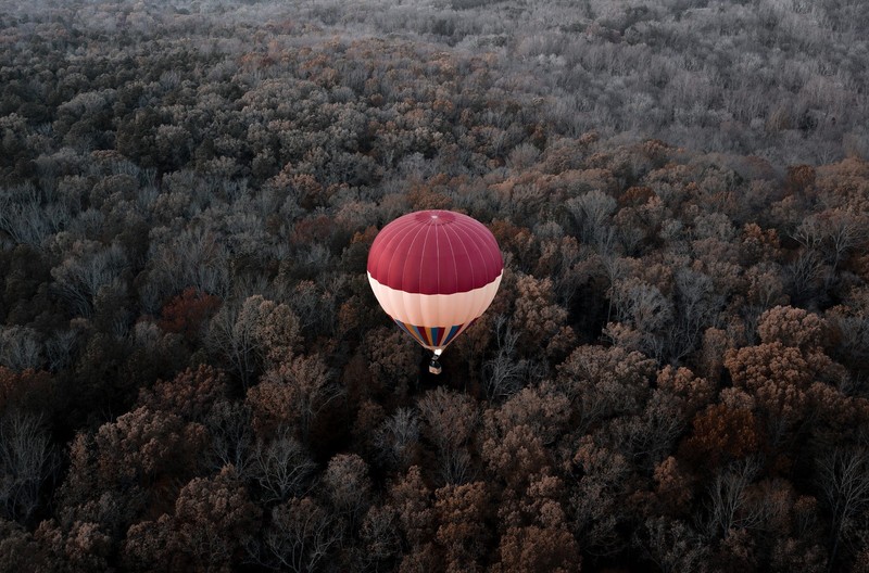 aerial view, vehicle, trees
