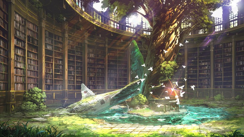 anime, landscape, library, nature