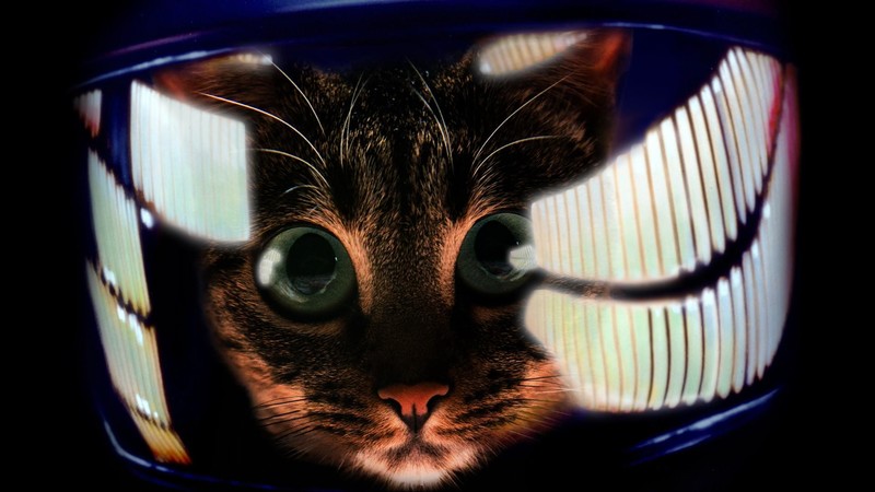 astronaut, space, universe, digital art, artwork, photography, reflection, eyes, 2001: A Space Odyssey, parody